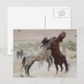 Zurück aus postkarte (Vorne/Hinten)