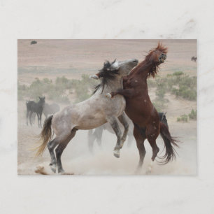 Zurück aus postkarte