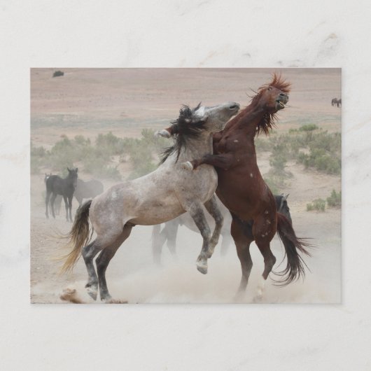 Zurück aus postkarte (Vorderseite)