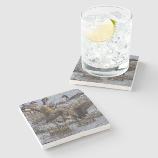 Zurück aus steinuntersetzer (Seitenansicht)