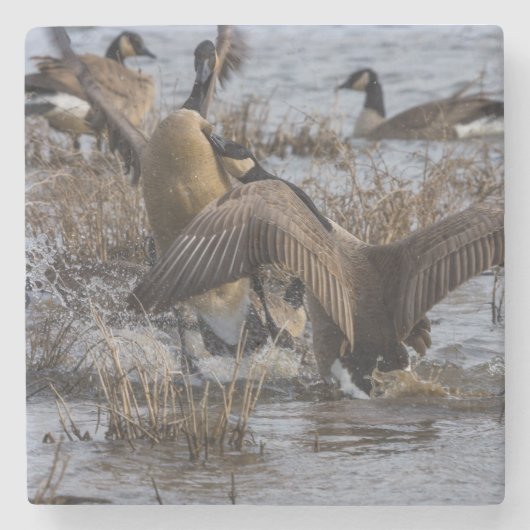 Zurück aus steinuntersetzer (Vorderseite)