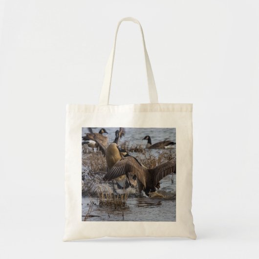 Zurück aus tragetasche (Vorne)