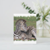 Zurück der Zebra-Postkarte Postkarte (Stehend Vorderseite)
