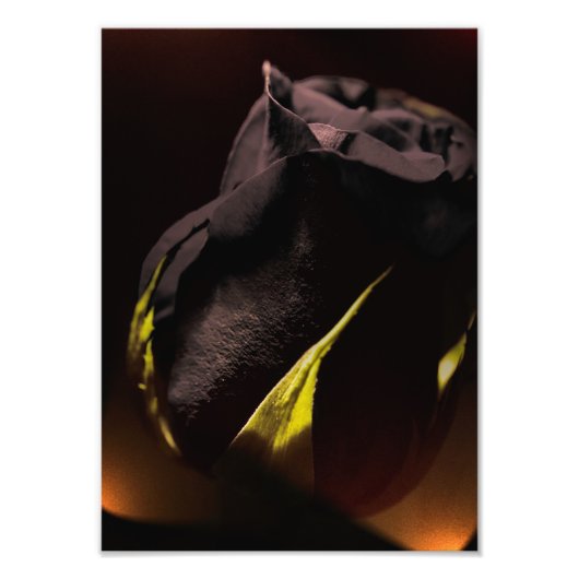 Zurück Fotodruck (Vorne)