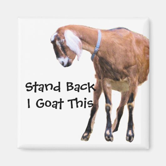 Zurück, ich habe das hier. magnet (Vorne)