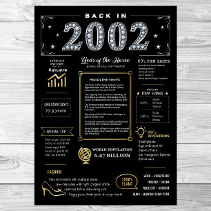 Zurück im Jahr 2002 Printable Poster, 2002 Geburts Poster