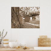 Zurück in die Natur - Grabsteine und Bäume Poster (Küche)