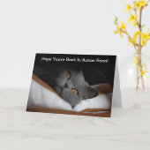 Zurück Operation bald gut Graue Katze Karte (Gelbe Blume)