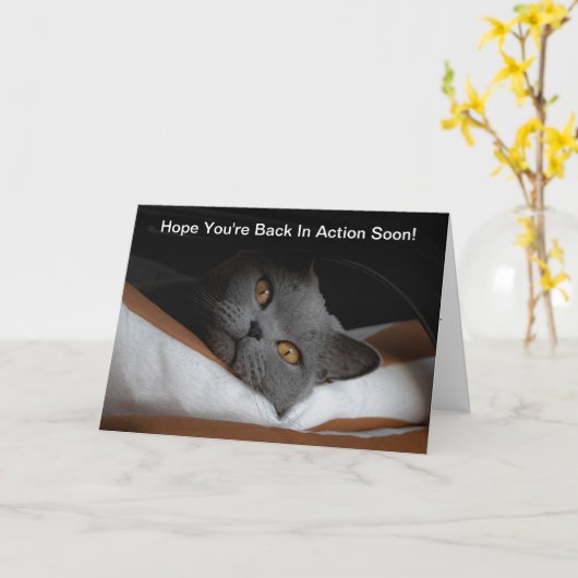 Zurück Operation bald gut Graue Katze Karte (Gelbe Blume)