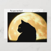 Zurück Schwarze Katze und Vollmond Postkarte (Vorne/Hinten)
