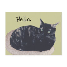 Zurück Tortoise Muschel Katzenmalerei Hallo Postca