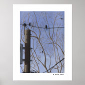 Zurück-Türansicht Poster (Vorne)