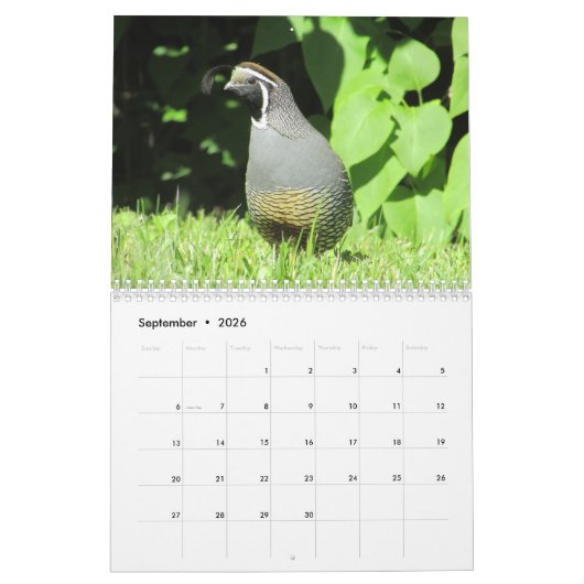 Zurück Yard Vögel!  Vogelbeobachter Kalender (Sep 2026)