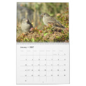 Zurück Yard Vögel!  Vogelbeobachter Kalender (Jan 2027)