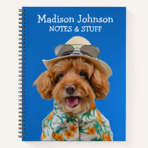 Zurück zum Spielzeug-Poodle-Notebook