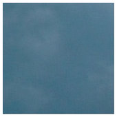 zurück zur frühen Show Stoff (Nahaufnahme)