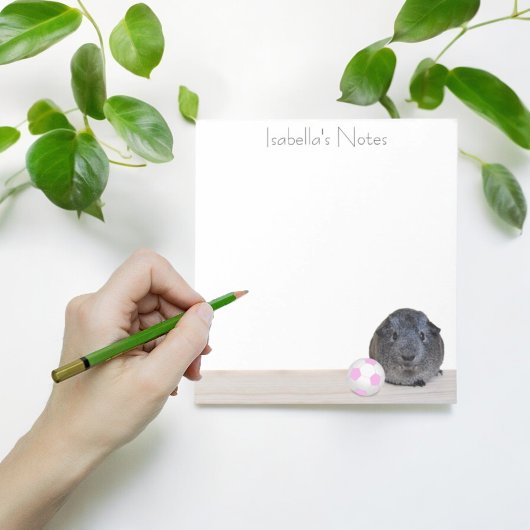 Zurück zur Guinea Pig Pink Soccer Ball Custom Notizblock