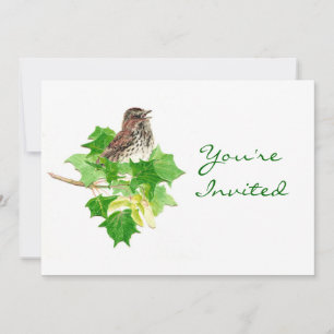 Zurück zur Natur, Sparrow, Vogel, Wildnis Einladung