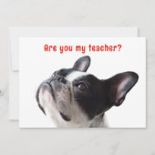 Zurück zur Schule Boston Terrier - Begrüßungskarte Einladung (Vorderseite)