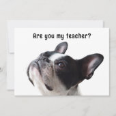 Zurück zur Schule Boston Terrier - Begrüßungskarte Einladung (Vorderseite)