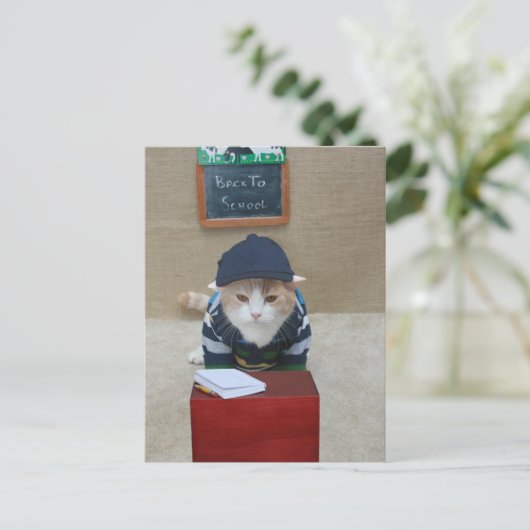 Zurück zur Schule Bubba Postkarte (Stehend Vorderseite)