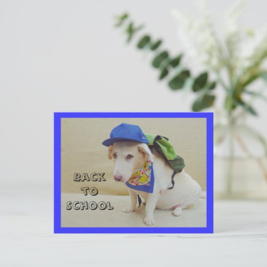 Zurück zur Schule Postkarte (Stehend Vorderseite)