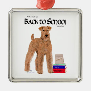 Zurück zur Schule Silbernes Ornament