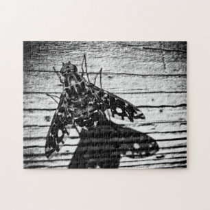 zurückfliegen puzzle