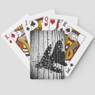 zurückfliegen spielkarten