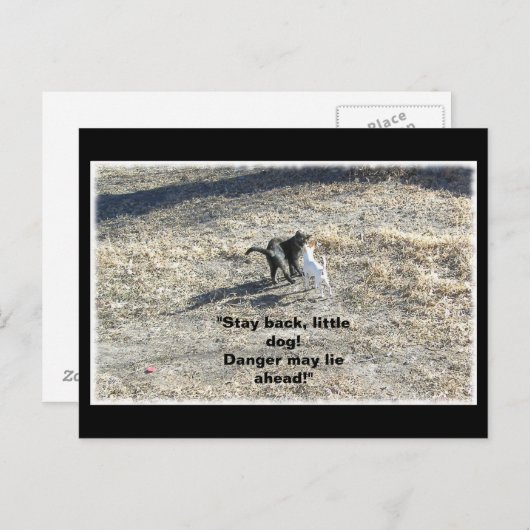 Zurückgezogene kleine Postkarte bleibe (Vorne/Hinten)