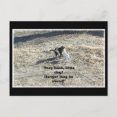 Zurückgezogene kleine Postkarte bleibe (Vorderseite)