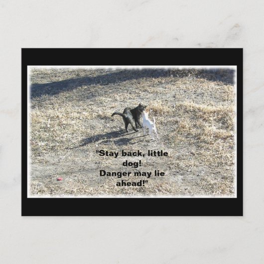 Zurückgezogene kleine Postkarte bleibe (Vorderseite)