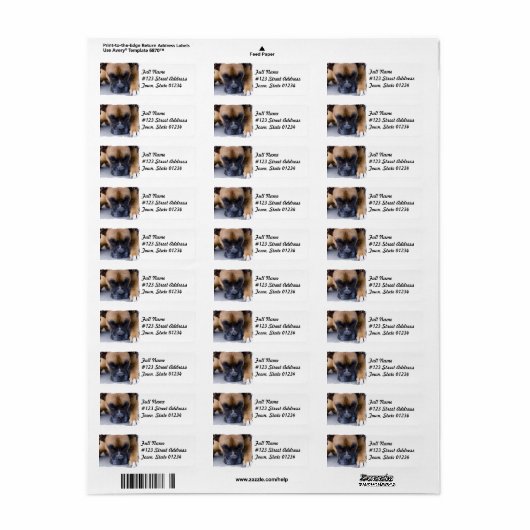 Zurücksetzen des Boxer-Dog-Mailing-Labels (Vorne)