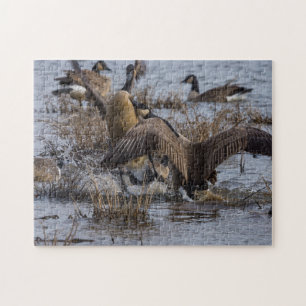 Zurücktreten Puzzle