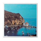 zUS009 SANTA CATALINA ISLAND, California, Fliese (Vorderseite)