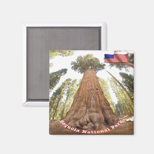 zUS127 SEQUOIA N.P. General Sherman, Kühlschrank Magnet (Vorderseite/Rückseite)