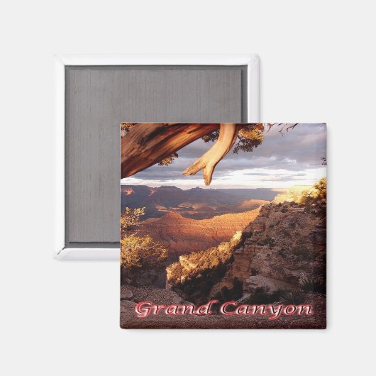 zUS136 GRAND CANYON Nationalpark, Arizona, Kühlsch Magnet (Vorderseite/Rückseite)