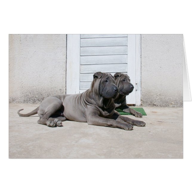 Zusammen... (Vorderseite (Horizontal))