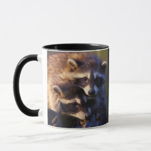 Zusammen für immer Waschbären Tasse