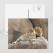 Zusammen Postkarte (Vorne/Hinten)