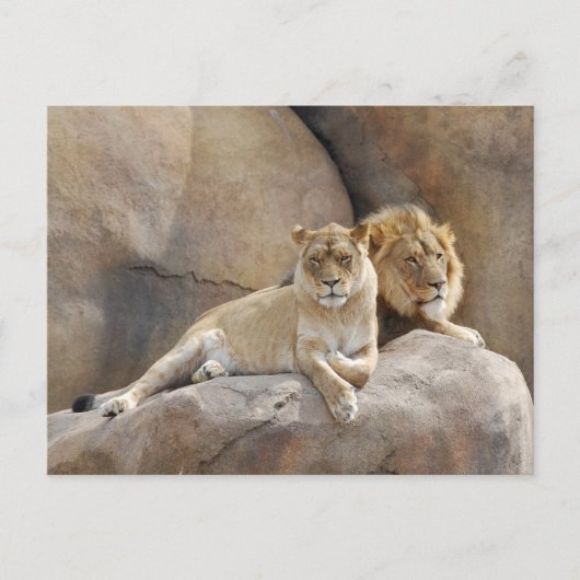 Zusammen Postkarte (Vorderseite)