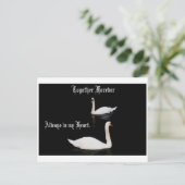 Zusammen Schwäne. Postkarte (Stehend Vorderseite)