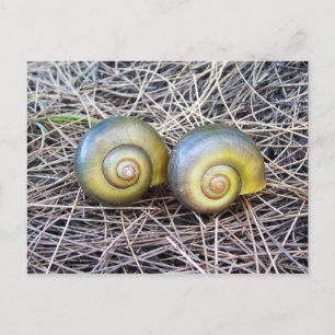 Zusammen warmen postkarte