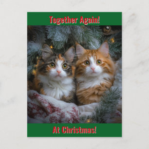 Zusammen wieder zu Weihnachten! Postkarte