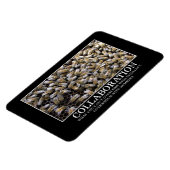 Zusammenarbeit verbessert Ihre Erfolgschance Magnet (Linke Seite)