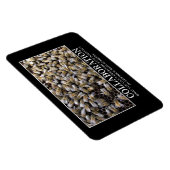 Zusammenarbeit verbessert Ihre Erfolgschance Magnet (Rechte Seite)