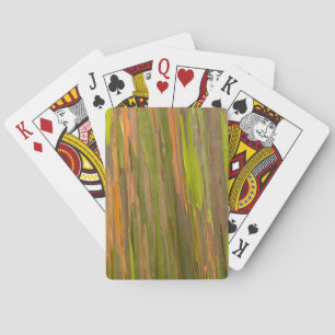 Zusammenfassung der Eukalyptus-Rinde Spielkarten