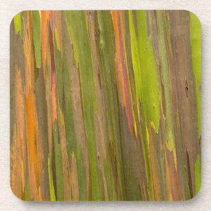 Zusammenfassung der Rinde von Eukalyptus Getränkeuntersetzer