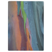 Zusammenfassung des Rainbow Gum Baumes Klemmbrett (Rückseite)