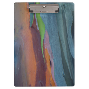 Zusammenfassung des Rainbow Gum Baumes Klemmbrett
